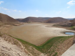 Wala dam
